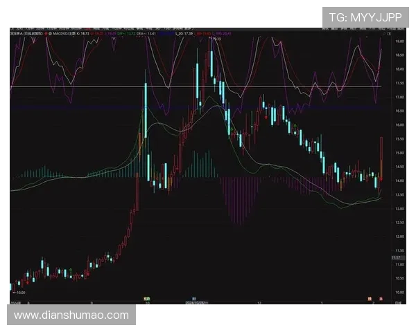 如何利用概率学在炸金花中做出更明智的下注决策