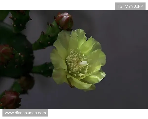 K8官网注册流程与账号安全设置详细步骤