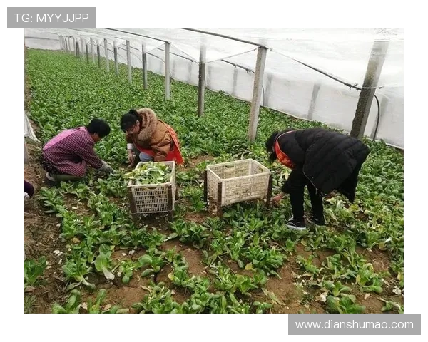 了解爱游戏控股集团的企业文化与社会责任,打造绿色健康的网络游戏环境 了解爱游戏控股集团的企业文化与社会责任,打造绿色健康的网络游戏环境