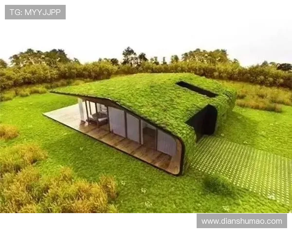 凯发旗舰厅欢迎你积极响应国家号召，推动绿色健康博彩新发展战略