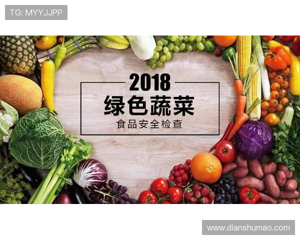 凯发的网址官方入口导航,确保每次登录都安全无忧 凯发的网址官方入口导航,确保每次登录都安全无忧