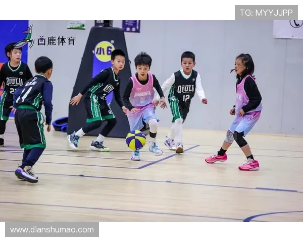 k8篮球平台的技术支持与客户服务体系详解,确保用户无忧使用体验